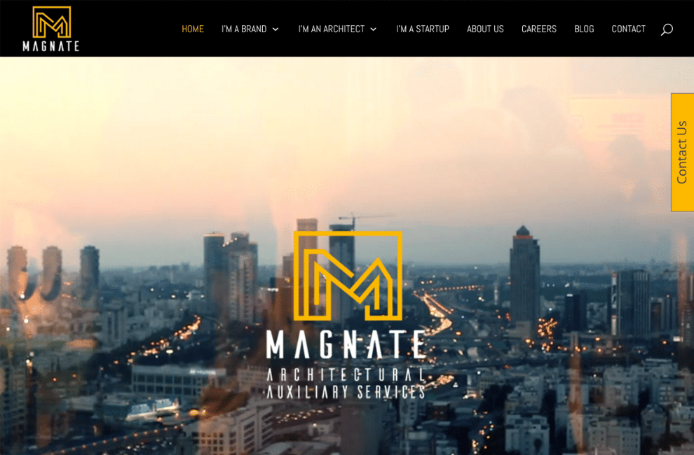 Magnate Website
